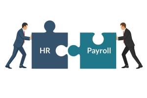 HR Support & Payroll Solutions 